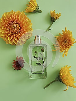 Bottle perfume flower elegance composition  romance  scent  on a colored background aromatic