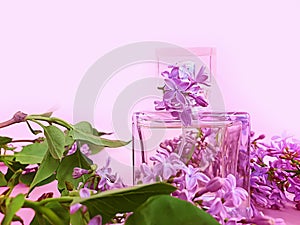 Bottle perfume flower lilac on a colored beautiful