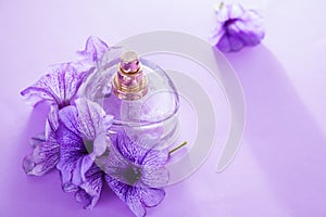 Bottle of perfume with flowers. Floral fragrance. Organic cosmetics