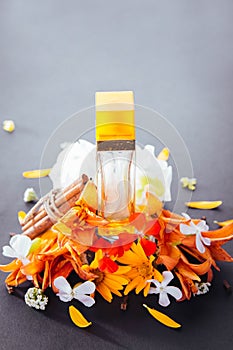 Bottle of perfume with ingredients