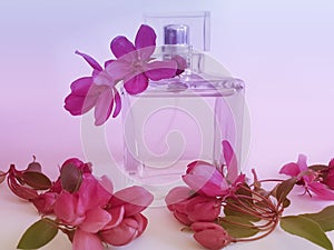 Bottle Perfume Magnolia Flower Background  product elegance