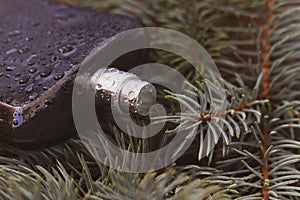 A bottle of perfume for men in black on the prickly green branches of a fir tree