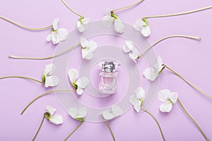 Bottle of perfume on pancy flowers. Flower fresh scent.  Banner purple background with white pansies. photo