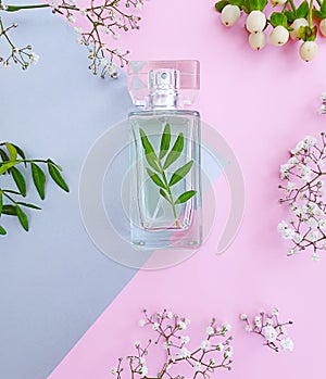 Bottle perfume trendy fragrance composition romance springtime scented product springtime elegance a colored background