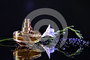 Bottle of perfume with water drops and beautiful flower on dark background
