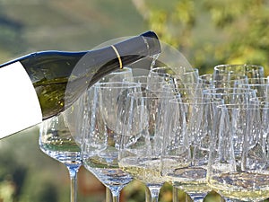 A bottle pouring wine into some glasses with the Langhe countryside in the background