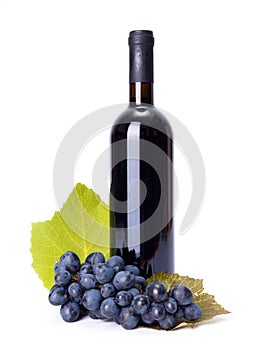 Bottle of red wine with blue grape cluster