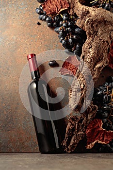 Bottle of red wine with blue grapes on a rusty background