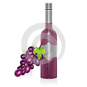 Bottle of red wine and bunch of grapes isolated on white background, Vector illustration in realistic style