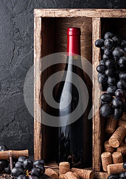 Bottle of red wine with dark grapes and corks inside vintage wooden box on black stone background. Natural Light