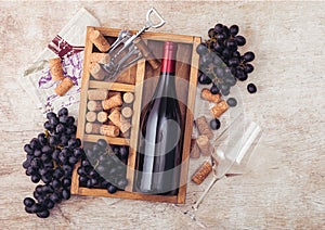 Bottle of red wine and empty glass with dark grapes with corks and opener inside vintage wooden box on light wooden background