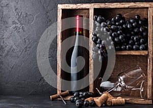 Bottle of red wine and empty glasses with dark grapes inside vintage wooden box on black stone background. Corks and corkscrew on