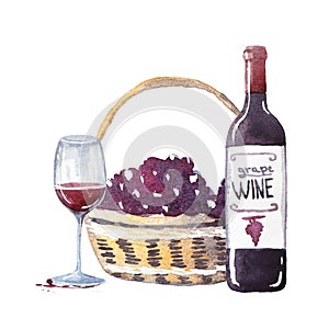 A bottle of red wine with a glass and a basket of grapes. Watercolor hand drawn illustration. Winemaking