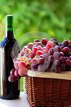 Bottle of red wine and grapes photo