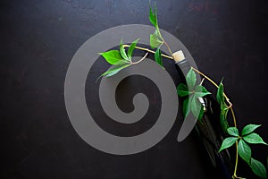 Bottle of red wine, grapes and leaves lying on dark wooden background.