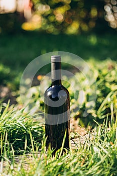Bottle of red wine on the grass, picnic time. Mockup of a black bottle of whine, alcohol drink