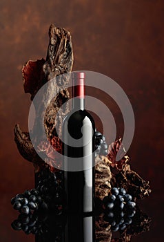 Bottle of red wine with an old snag and blue grapes