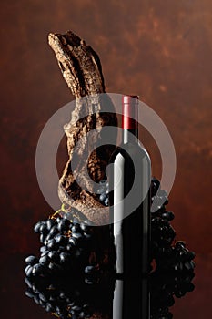 Bottle of red wine with an old snag and blue grapes