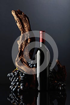 Bottle of red wine with an old snag and blue grapes