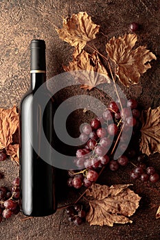 Bottle of red wine with ripe grapes and dried up vine leaves. Old copper background