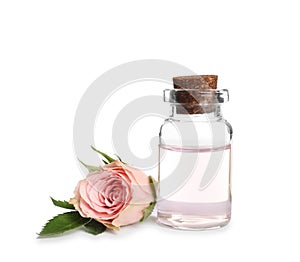 Bottle of rose essential oil and flower isolated