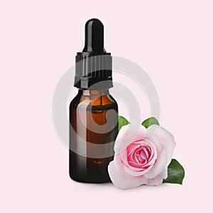 Bottle of rose essential oil and flower on light background