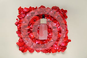 Bottle of rose essential oil and red flower petals on beige background, top view