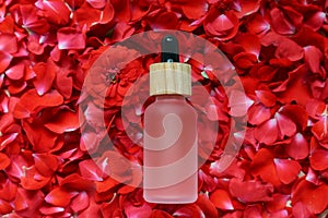 Bottle of rose essential oil on red flower petals, top view