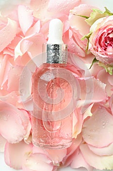 Bottle with rose essential oil on rose petals background