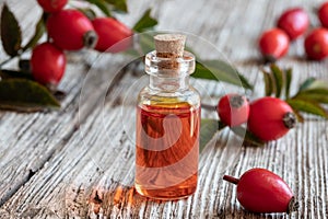 A bottle of rose hip seed oil with fresh rose hips