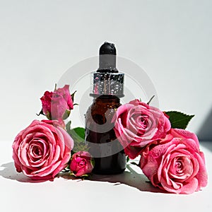 A bottle of rose oil with fresh flowers on a white background. Rose oil.