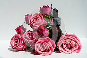 A bottle of rose oil with fresh flowers on a white background. Rose oil.