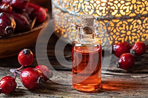 A bottle of rosehip seed oil with dried rosehips photo