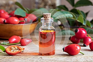 A bottle of rosehip seed oil with fresh rosehips