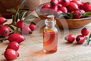 A bottle of rosehip seed oil with fresh rosehips photo