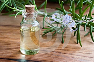 A bottle of rosemary essential oil with fresh blooming rosemary