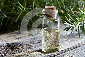 A bottle of rosemary essential oil with rosemary twigs