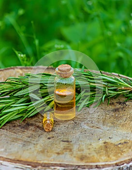 A bottle of rosemary oil on a tree stump. Essential oil, natural remedies. Selective focus
