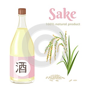 Bottle of sake, spike of rice and grains isolated on white background. Vector illustration