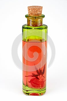 Bottle of scent on white background