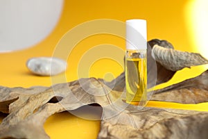 Bottle of scented oil with dried plants on a background of stones, gray-yellow background, side view