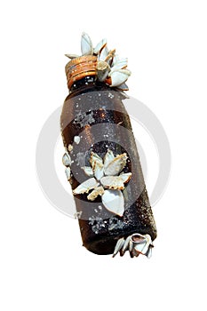 Bottle of the sea. Glass bottle washed ashore. Isolated on a white