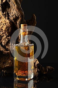 Bottle of spicy oil and olive tree snag on a black background