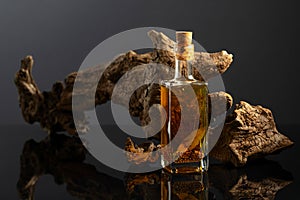 Bottle of spicy oil and olive tree snag on a black background