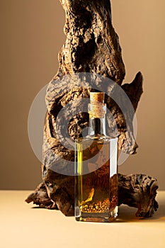 Bottle of spicy olive oil and olive tree snag on a beige background