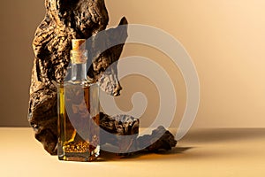 Bottle of spicy olive oil and olive tree snag on a beige background