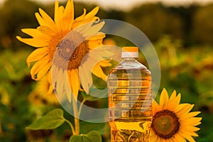 Bottle of sunflower oil. Sunflower oil improves skin health photo