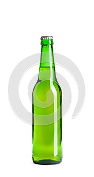 Bottle of tasty cold beer