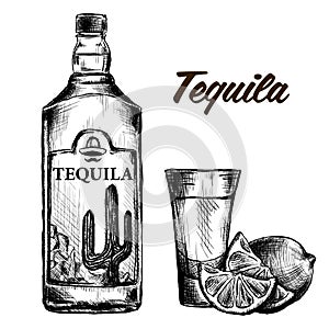 Bottle of tequila with lime and glass. painted by hand