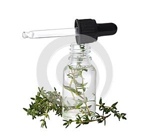 Bottle of thyme essential oil and fresh green sprigs on white background